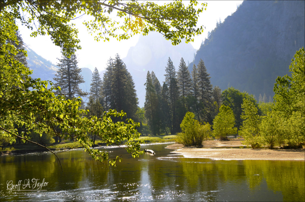 Morning in Yosemite National Park USA