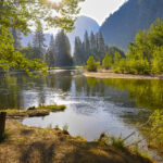 1012 Yosemite National Park USA