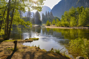 1012 Yosemite National Park USA