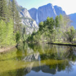 1031 Yosemite National Park USA