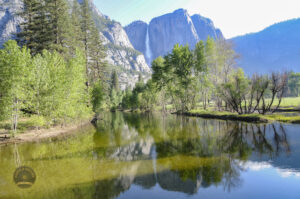 1031 Yosemite National Park USA