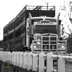 5875 Road Train Burke River Boulia