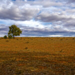 5070 Outback NSW Farmland