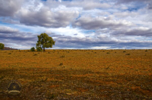 5070 Outback NSW Farmland