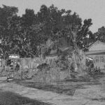 5307 Cottage Museum Lightning Ridge