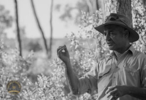 2128 Guide Central Australia