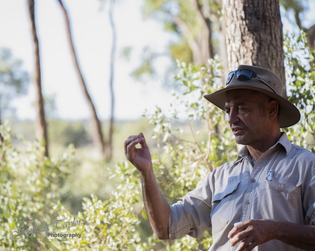 2128 Central Australia Guide