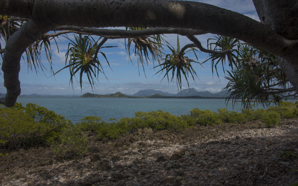 View from Yuibera Trail Cape Hillsborough QLD Australia