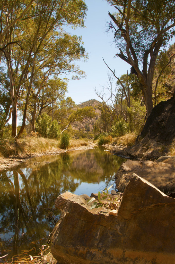 The Waterhole - Arkaroola South Australia