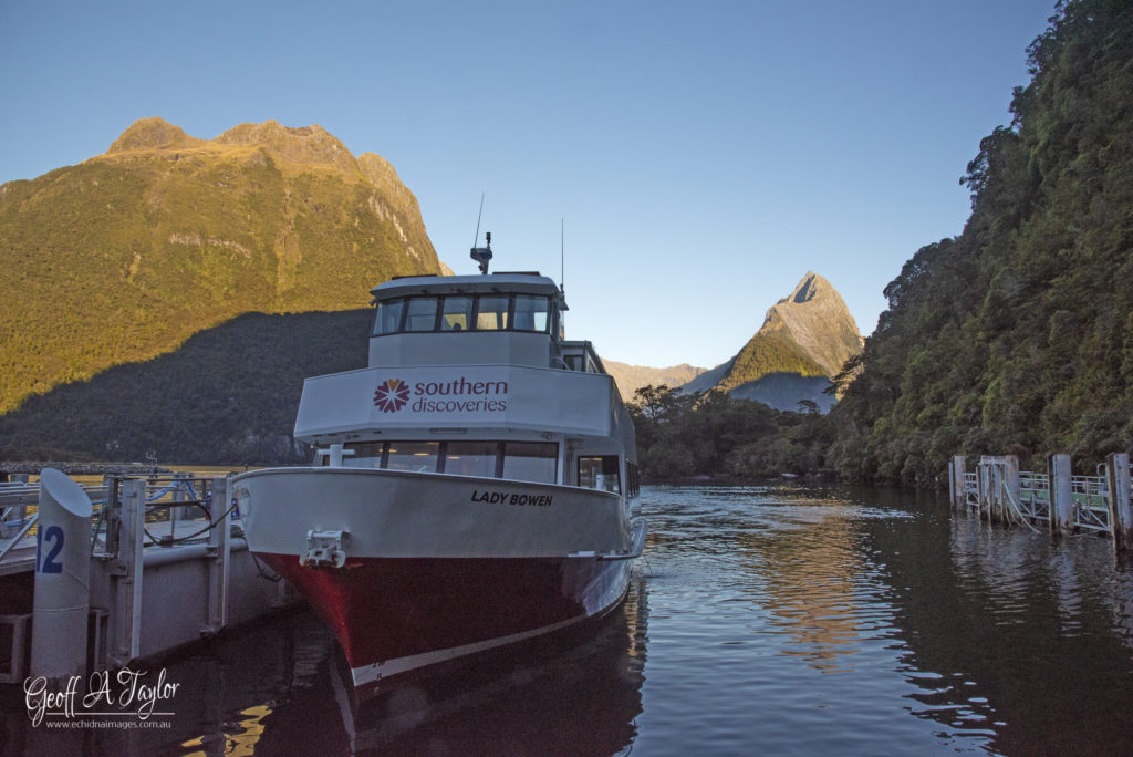 Milford Sound South Island New Zealand