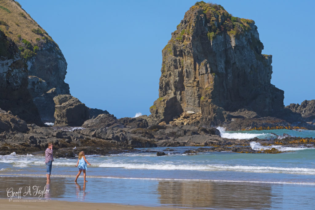 Canibal Bay The Catlins South Island New Zealand