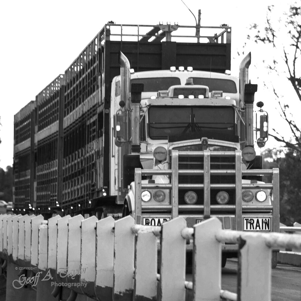 5875 Road Train Burke River Boulia B&W