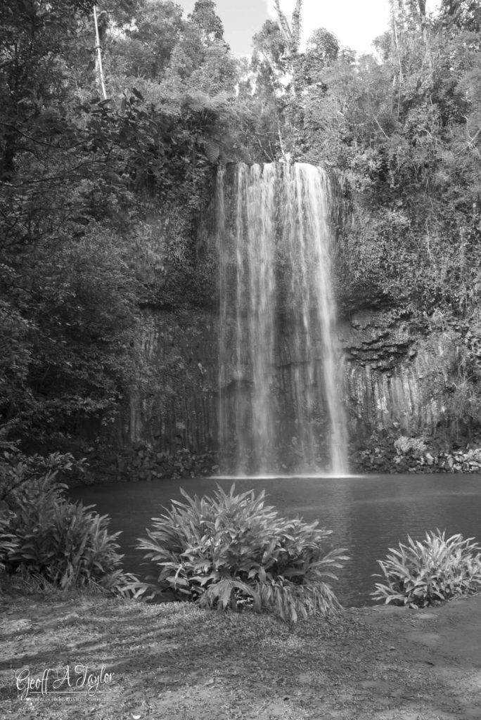  Millaa Millaa Falls - Queensland Australia