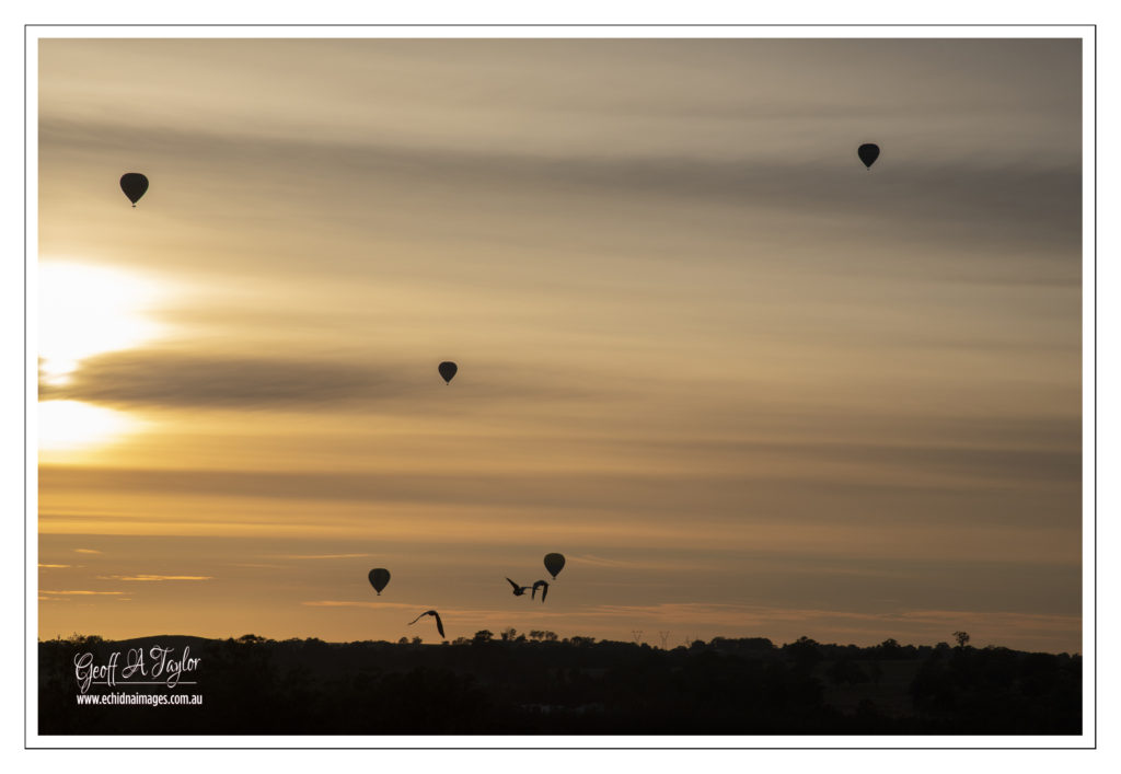 Hunter Valley Sunrise - NSW Australia